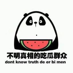 娱乐吃瓜君改名了吗,揭秘新名字背后的故事