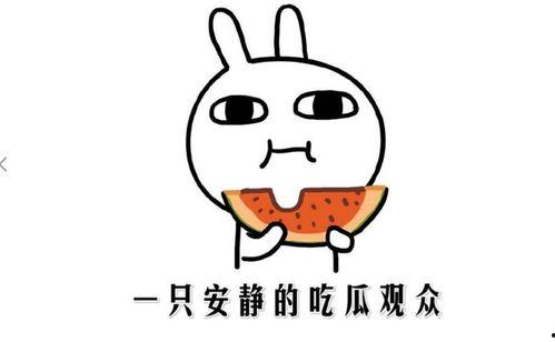 网络吃瓜是什么意思,揭秘虚拟世界中的围观文化