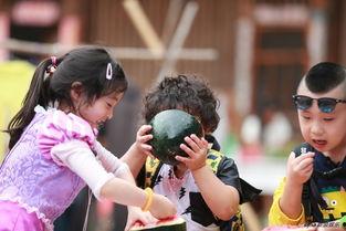 在娱乐综艺吃瓜