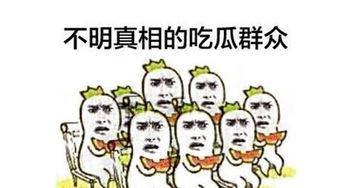 吃瓜群众娱乐大百科视频,揭秘娱乐圈幕后故事与趣味瞬间